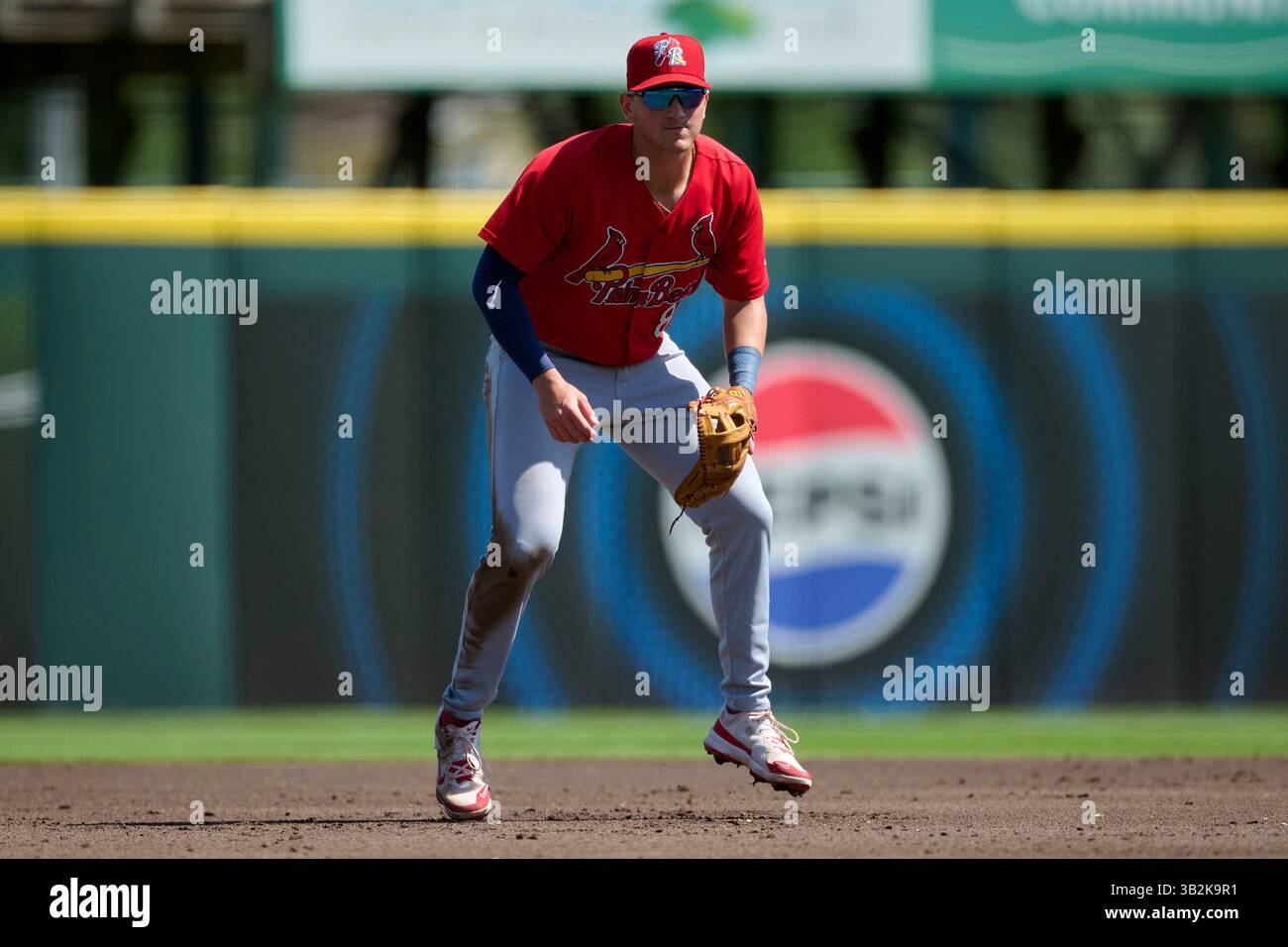 Cade Samuelson Baseball Palm Beach Cardinals third baseman Cade McGee (8) during an MiLB ...
