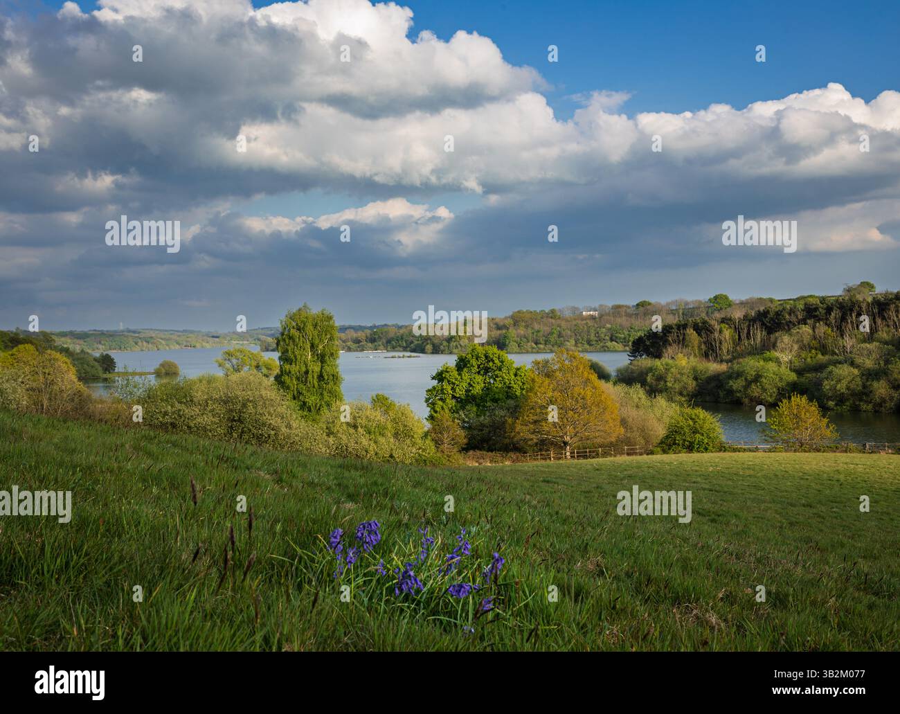 Beautiful views of Bewl Water Reservoir and the high weald on the East Sussex Kent border south east England UK Stock Photo