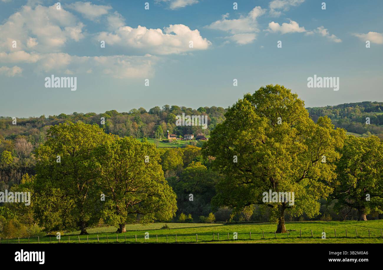 Beautiful views of Bewl Water Reservoir and the high weald on the East Sussex Kent border south east England UK Stock Photo