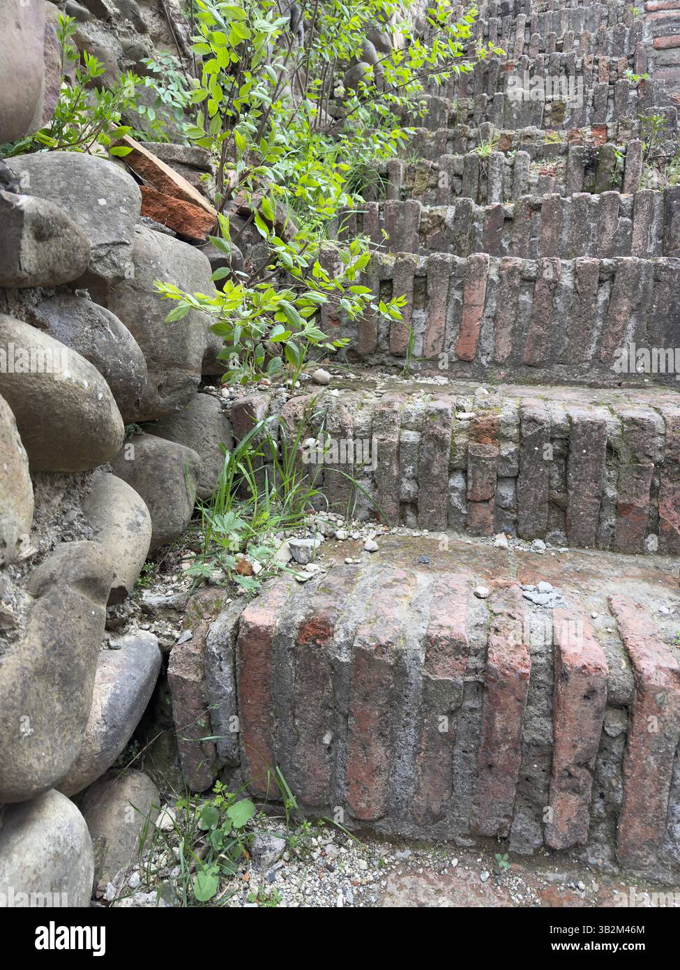 Rustic stone staircase bathed in lush greenery, creating serene nature vibes. Perfect for travel, architecture, and landscape themes. Evokes nostalgia - Smartphone Captured Stock Image