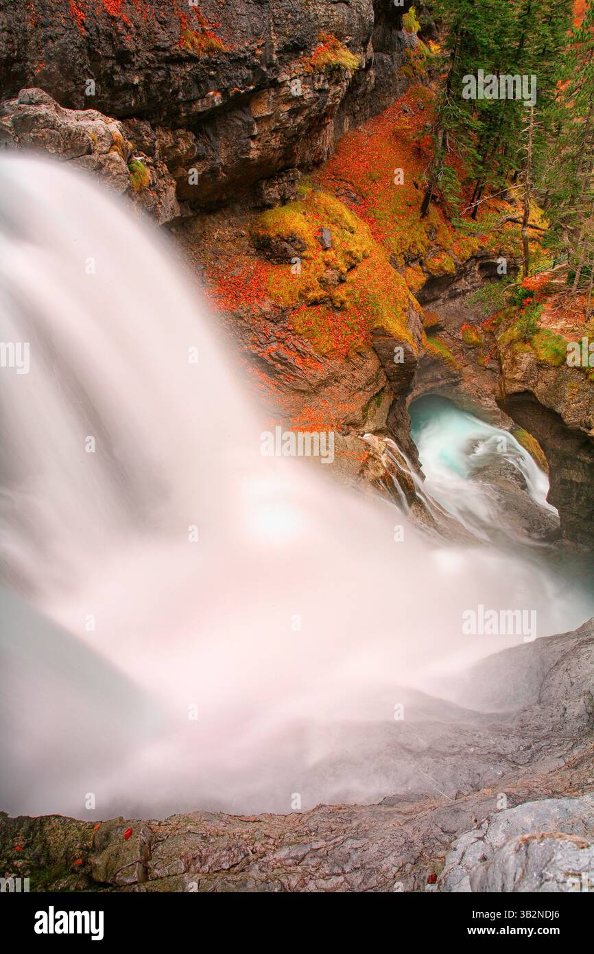 Arazas River surrounded abundant greenery in the National Park of ...