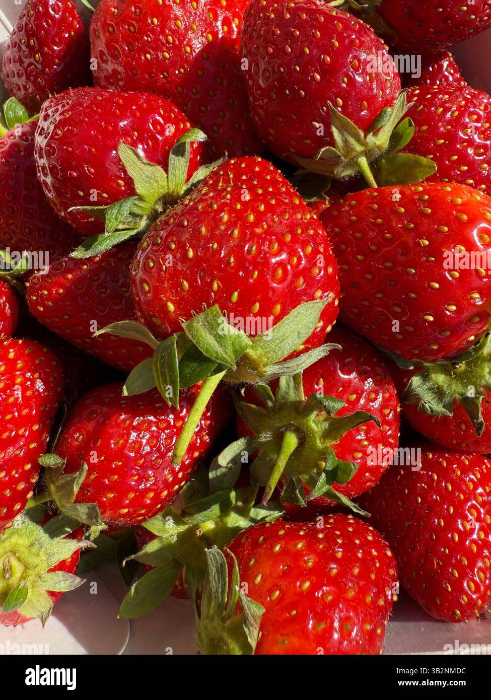 Strawberries - Smartphone Captured Stock Image