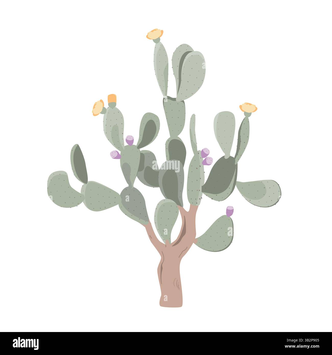 Prickly pear isolated plant. Bunny ear cactus. Opuntia vector ...
