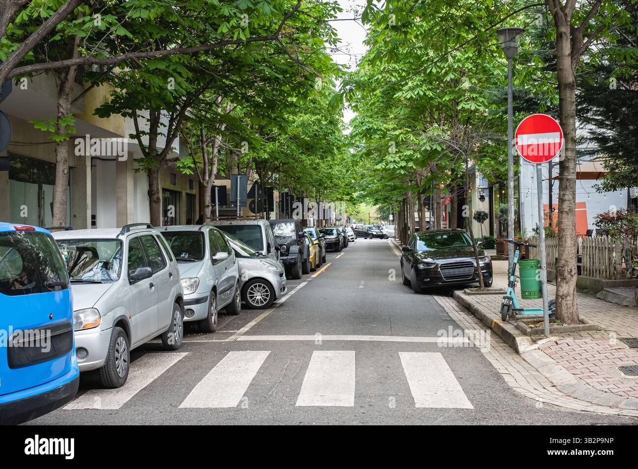 Cars parked in line on the roadside. Green trees in city street with ...