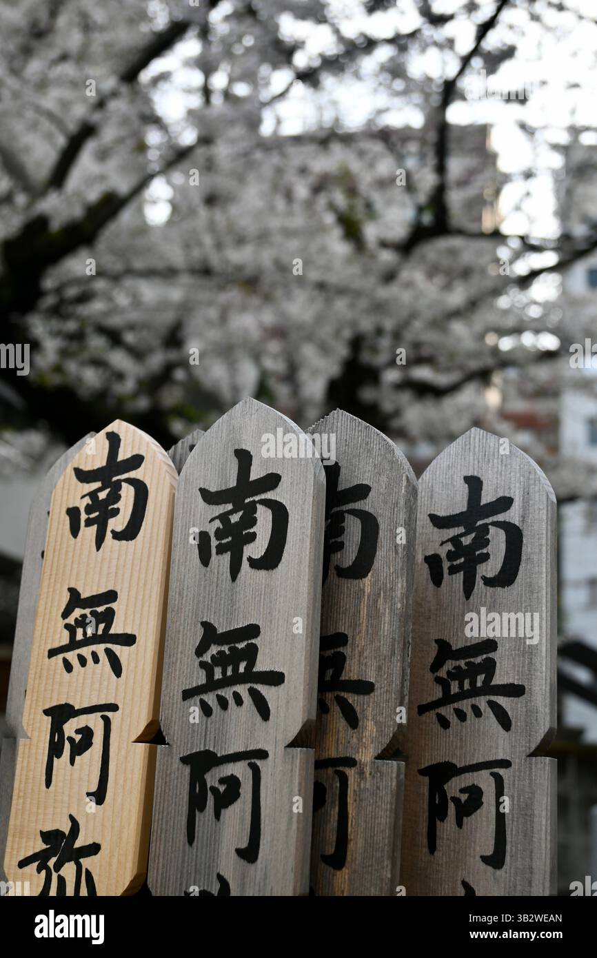 Sotoba poles in graveyard, Shinjuku, Tokyo Stock Photo
