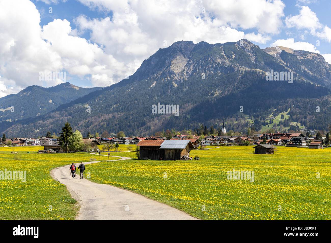 Frühling in Oberstdorf Sie Sonne scheint auf die Wiesen bei Oberstdorf ...