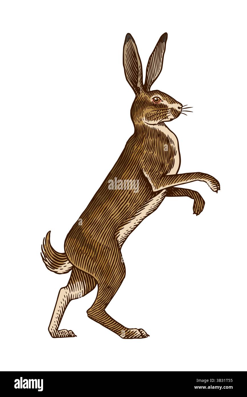 Cartoon feet running hi-res stock photography and images - Alamy