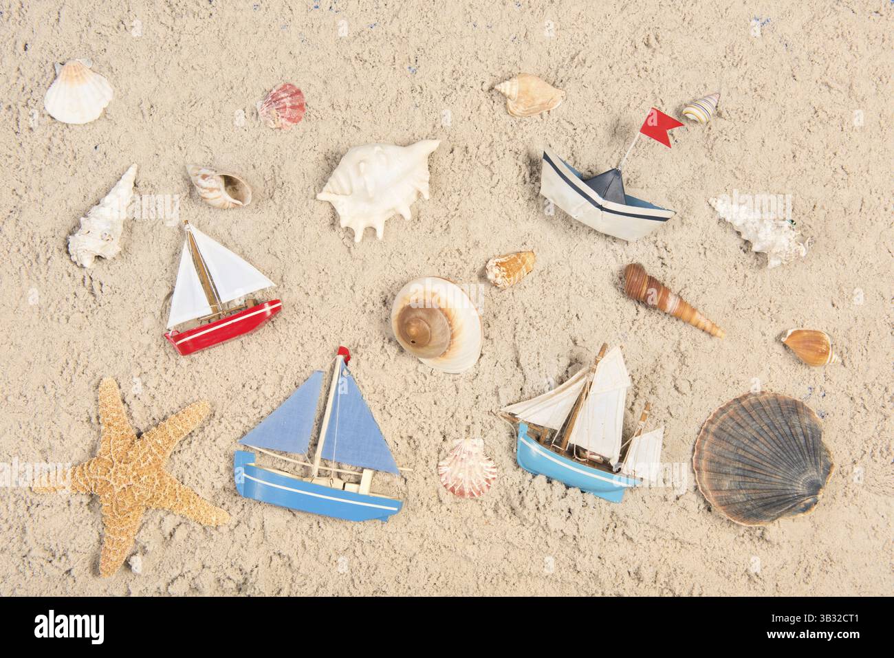 Shells boats and star fishes in sand at the beach Stock Photo - Alamy
