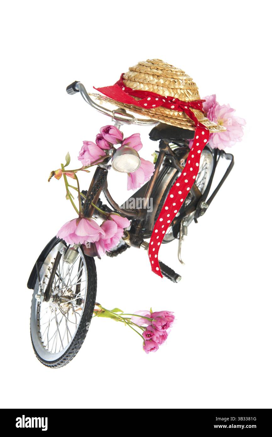 Crewneck Floral Bike brodé
