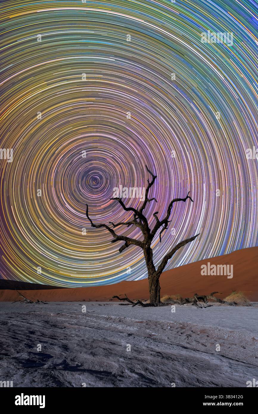 Namibia dead tree in desert with star trails (799 star trail stackings) Stock Photo