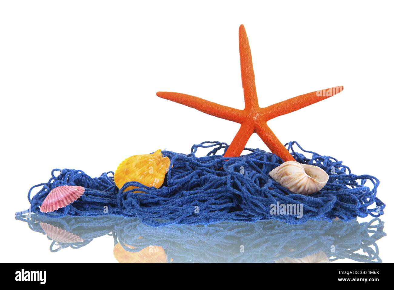 Fishing net with shells and starfish isolated Stock Photo