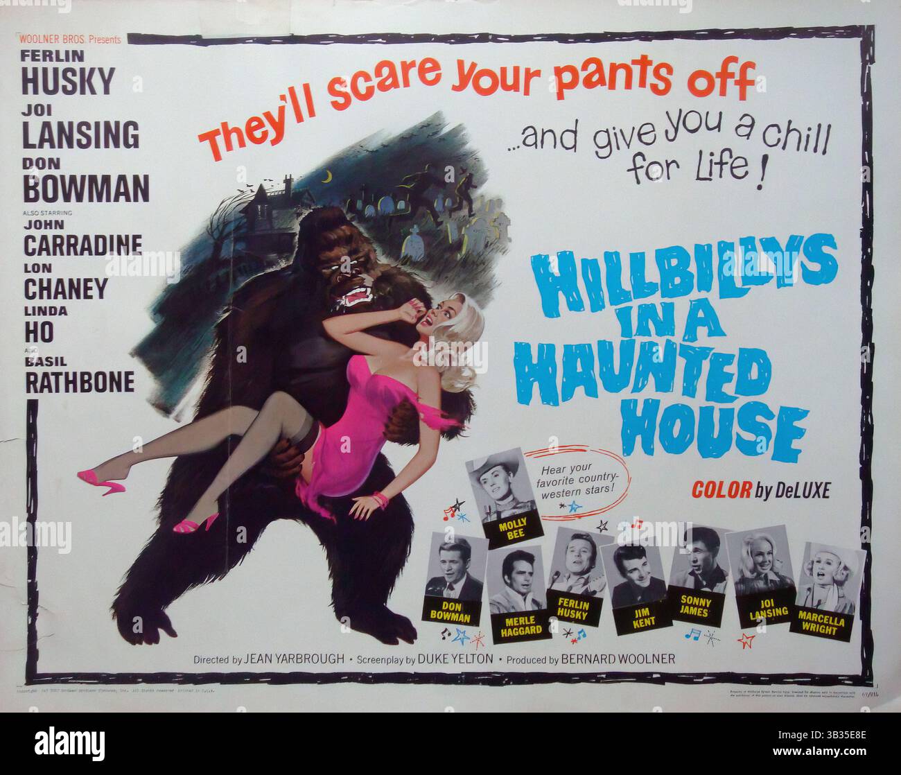 Hillbillys in a Haunted House Original 1967 U.S. One Sheet