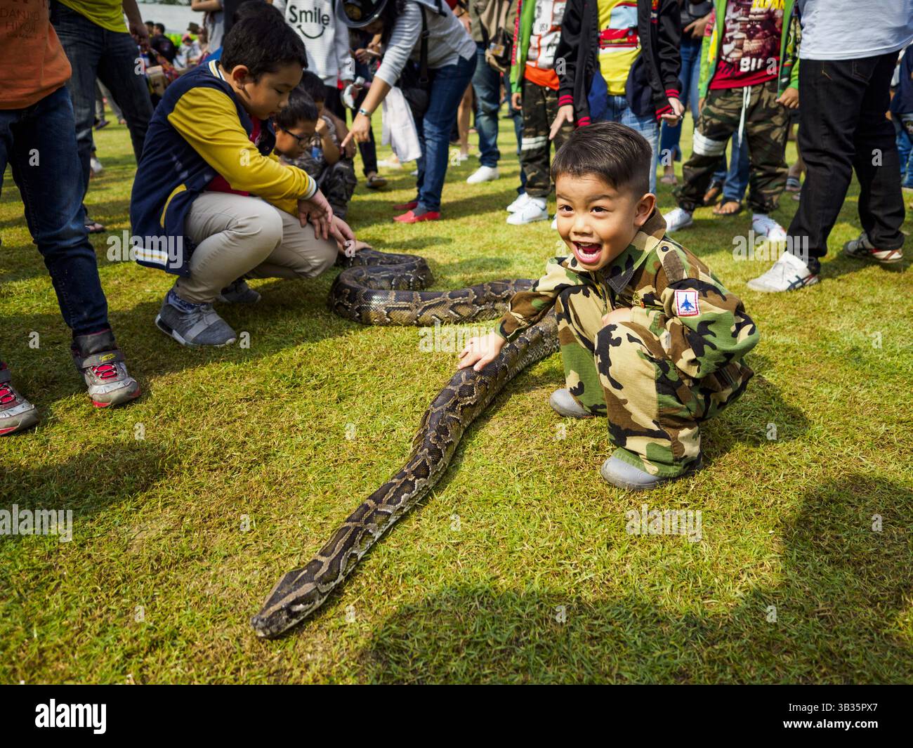 Embroidery Lion Head Stock Illustration - Download Image Now - Abstract,  Animal, Animal Wildlife - iStock, image size:1300x1065