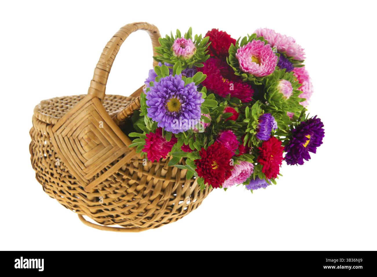 Pantoufles Femmes Douces et Confortables pour Intérieur main image 0