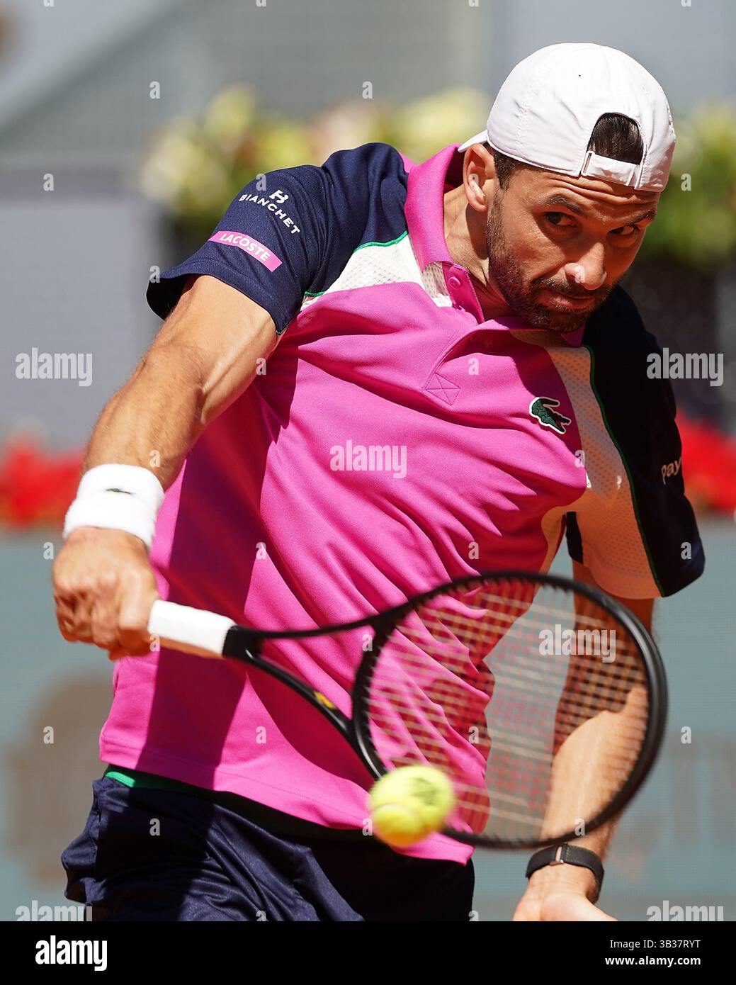 Grigor Dimitrov’s Financial Rise & Glamorous Profile
