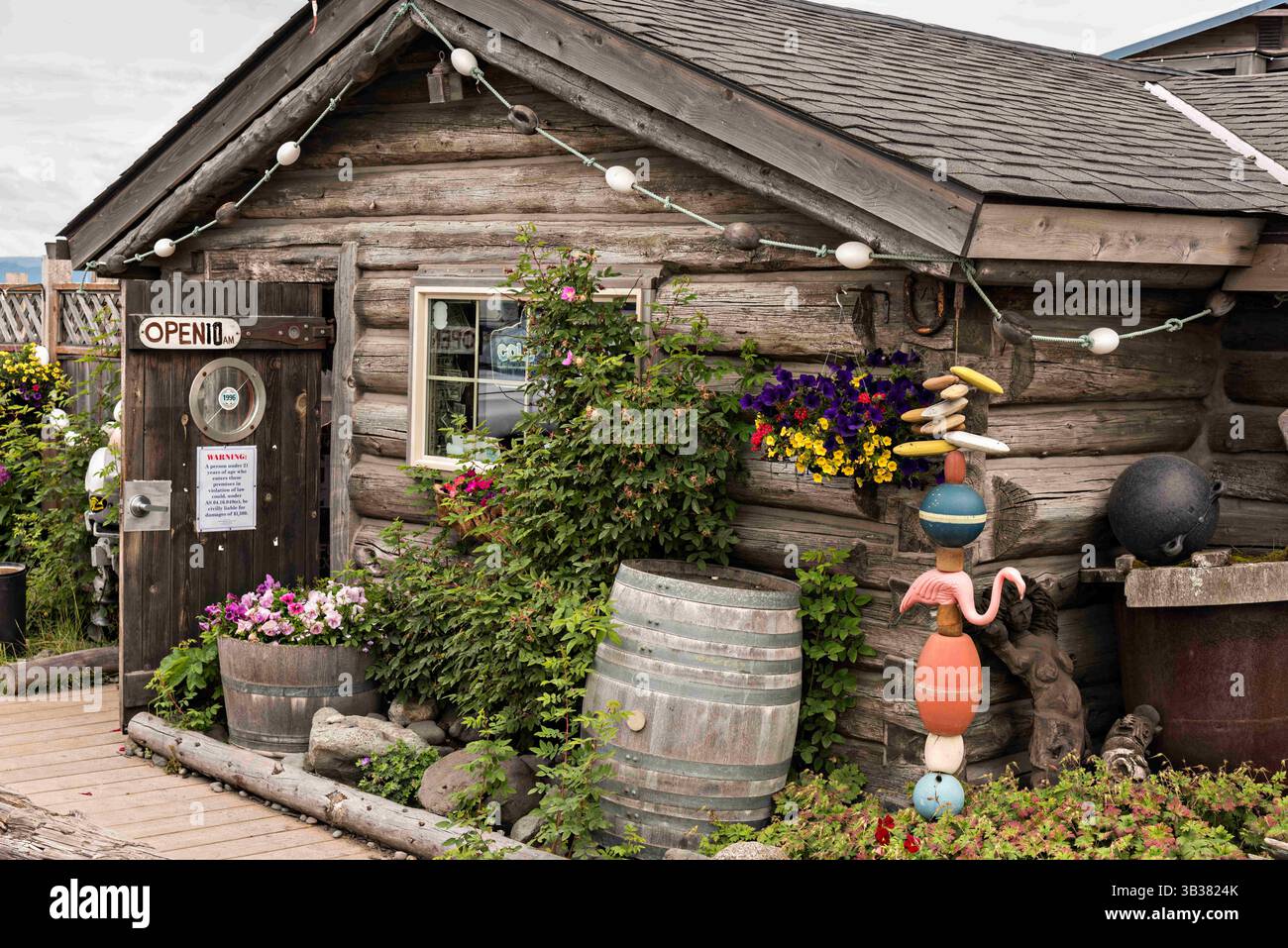 homer spit tobacco Homer alaska salty dog saloon hi-res stock photography and images