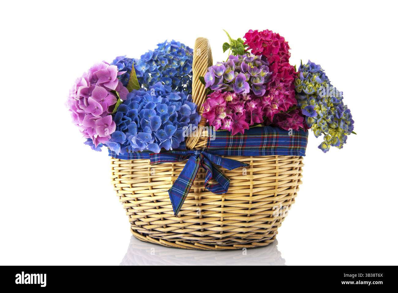 GG Blue Hydrangea Basket