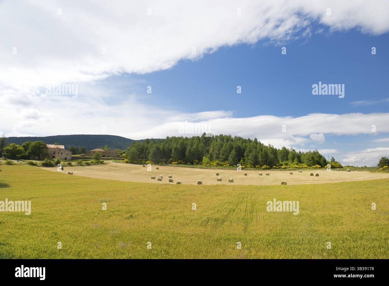 Rural agricultural French landscape with grain and grass rolls Stock ...