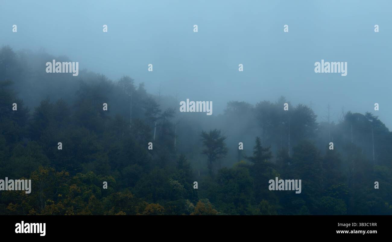 Shrouds hi-res stock photography and images - Alamy
