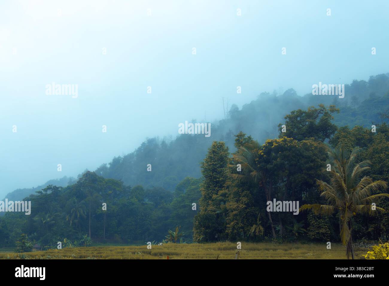 Scenery in a mountain valley Stock Photo - Alamy