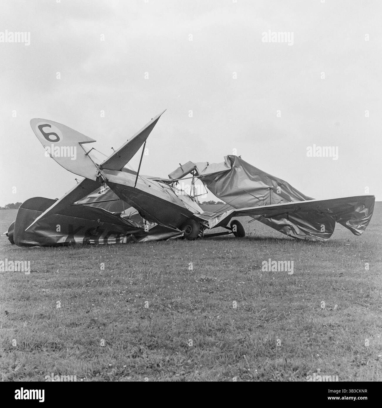 G moth Black and White Stock Photos & Images - Alamy