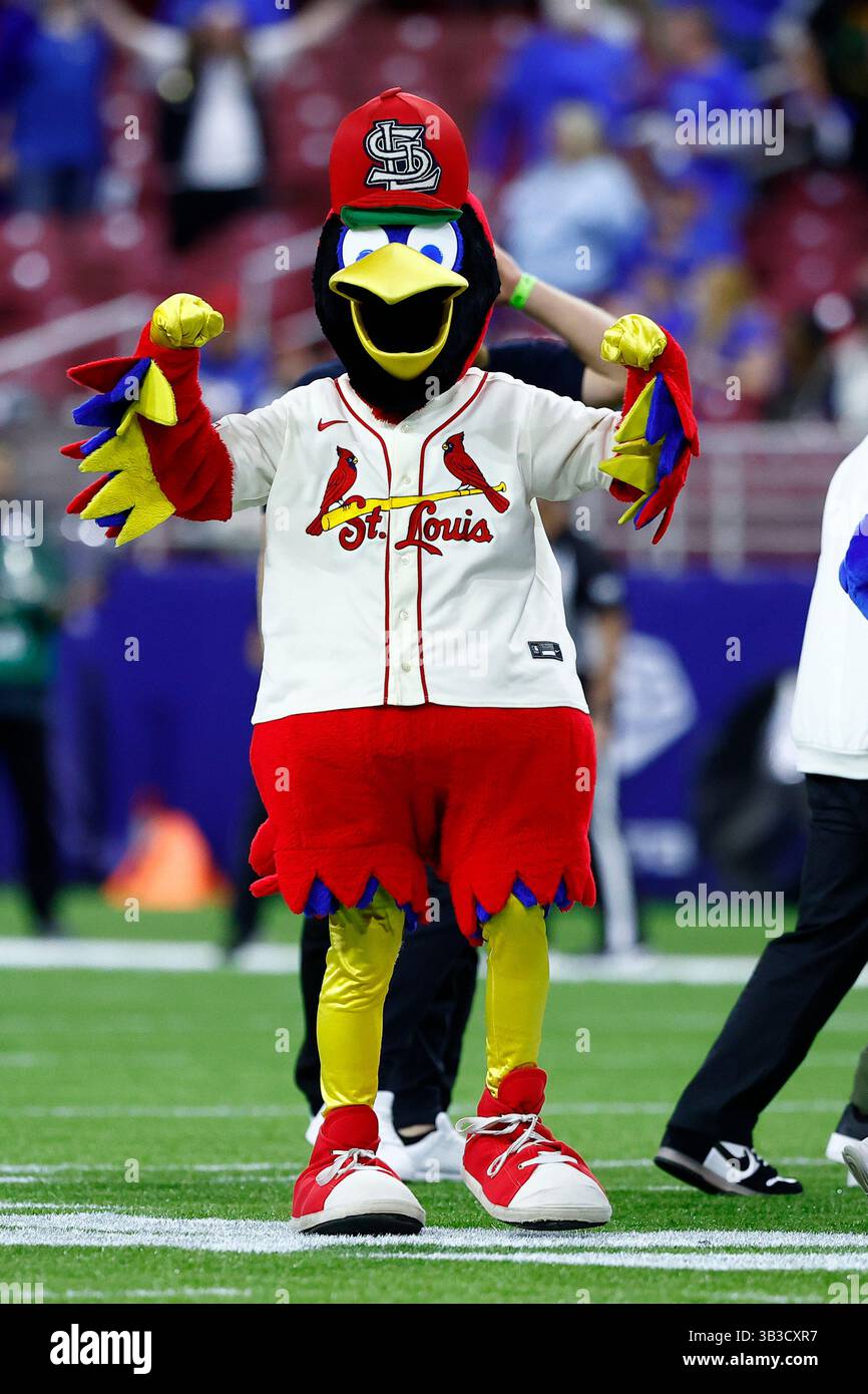 ST. LOUIS, MO - APRIL 26: St. Louis Cardinals mascot Fredbird fires up ...