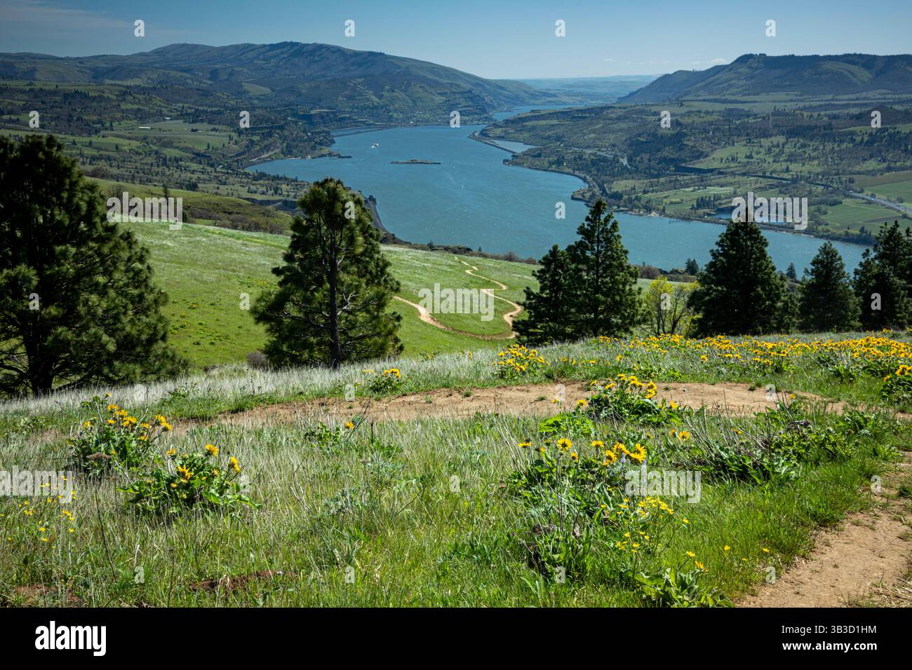 WA28384-00....WASHINGTON - Winding and twisting Coyote Wall trail with view of the Columbia River Gorge. Stock Photo