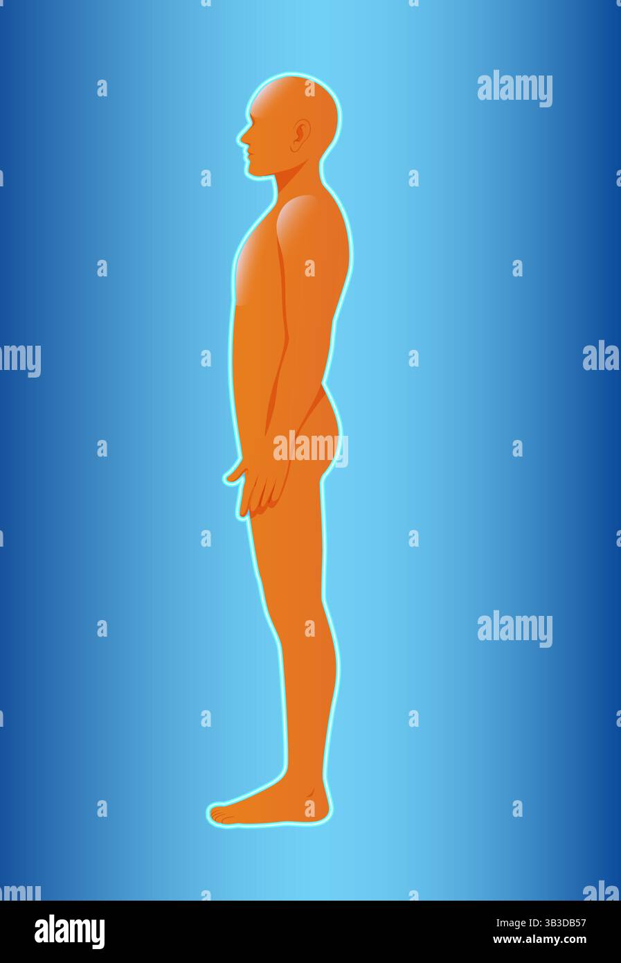 Human Posture Graphics Silhouette of a human figure in side view with gradient blue background ...