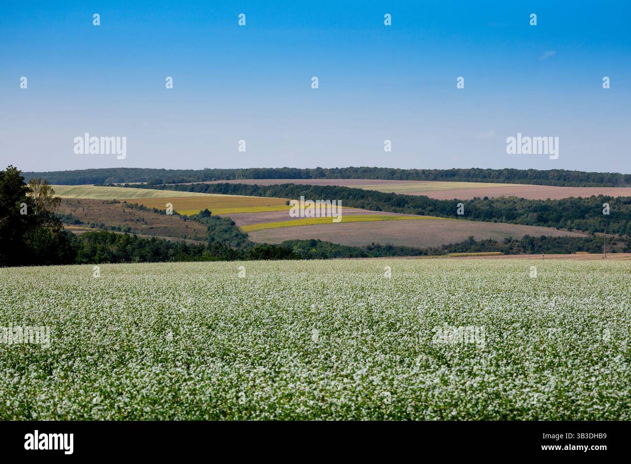 Cultivated lands hi-res stock photography and images - Alamy