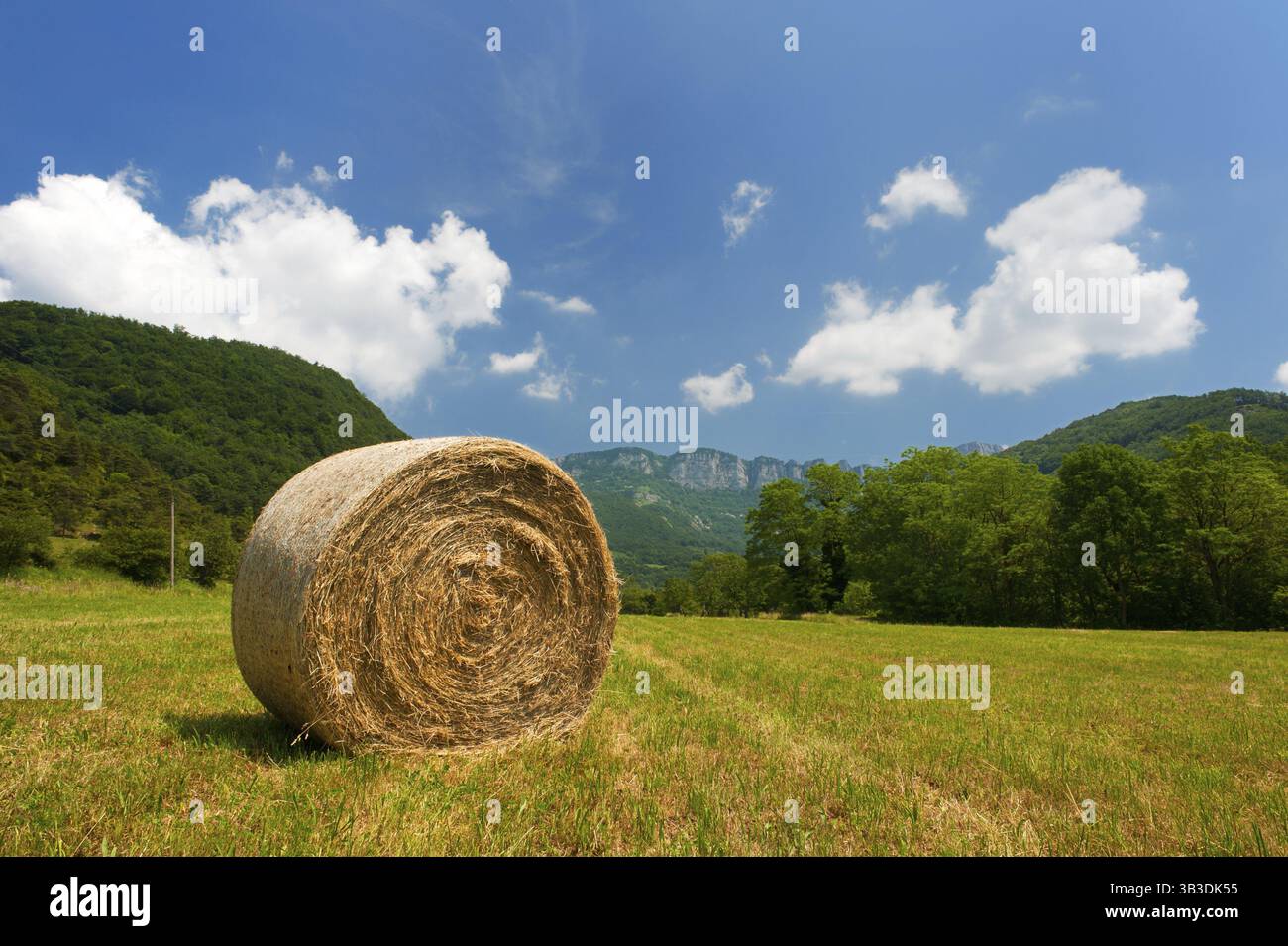 Round straw bales in French landscape Stock Photo - Alamy