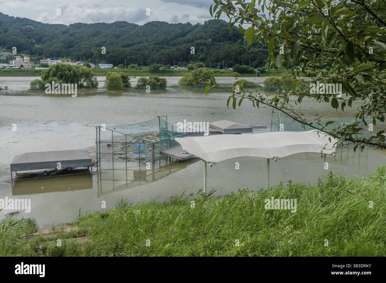 Daejeon, South Korea, August 9, 2020: Baseball diamond submerged in flooded river after torrential monsoon rainfall, Asia Stock Photo