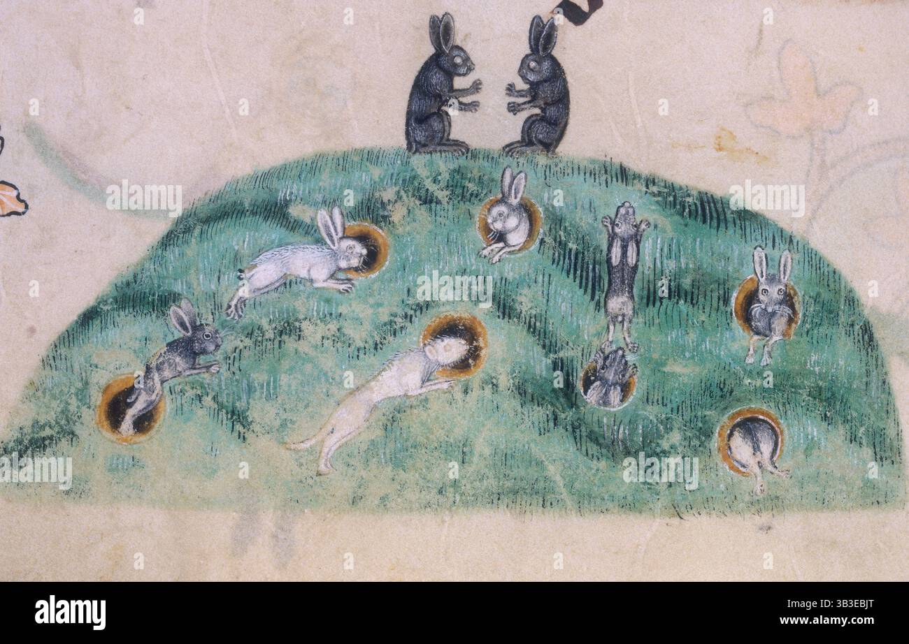 Big Warren For Rabbit A rabbit warren, c1300-c1340. Two rabbits sit on top of the warren ...