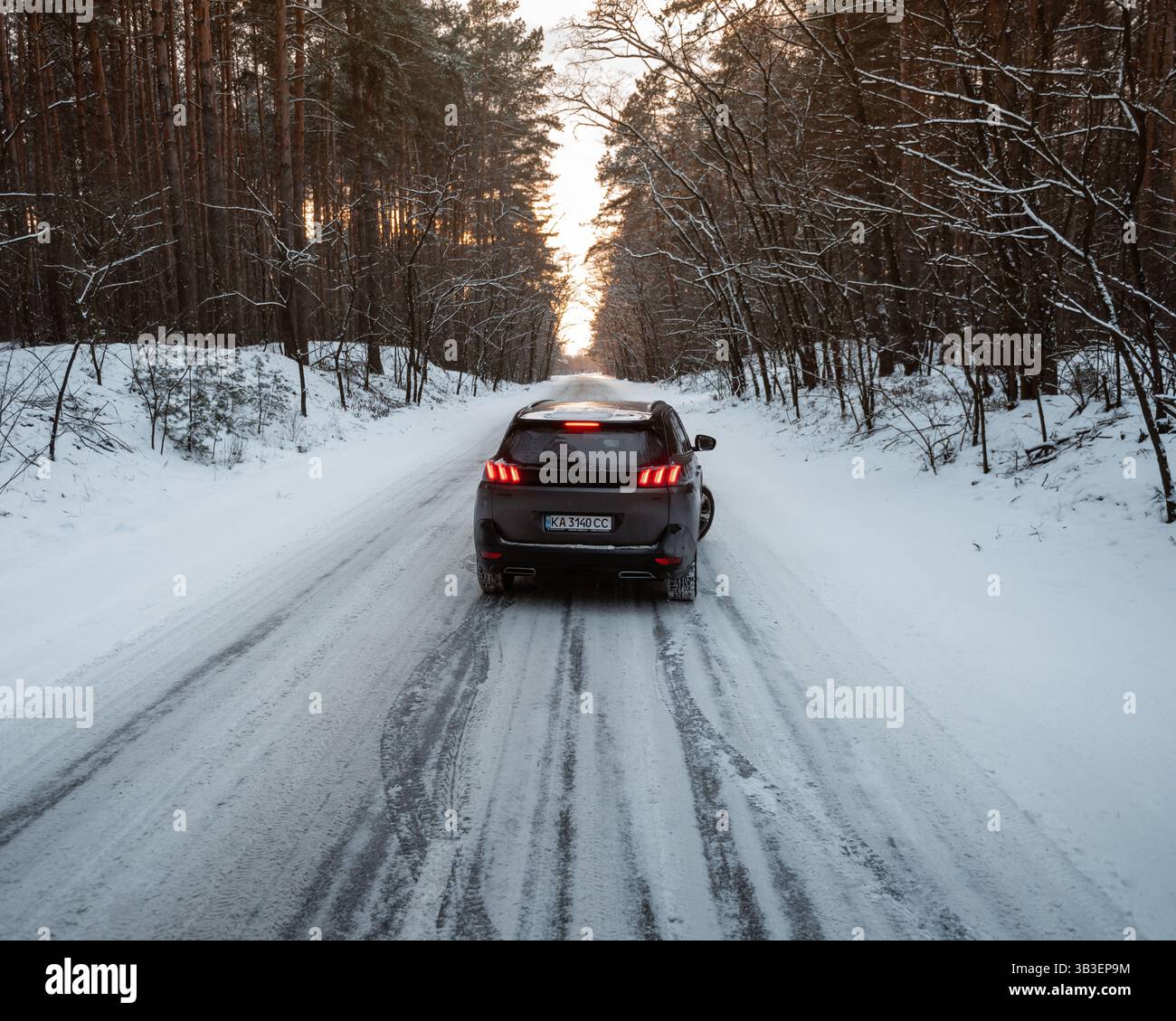 Peugeot 5008 driving into sunset in snowy woodland. Rear end view of ...