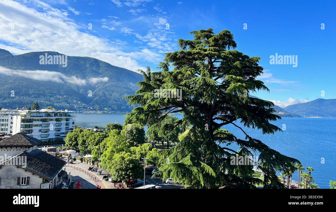Ascona Lake View Switzerland - Smartphone Captured Stock Image