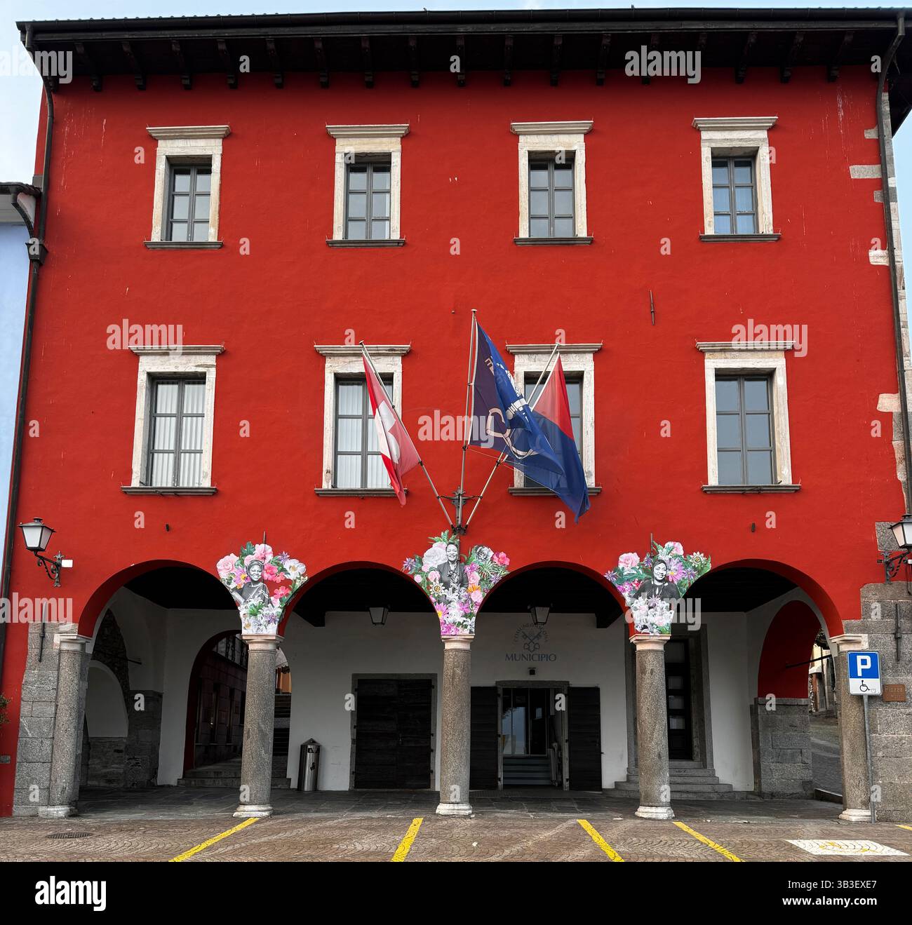 Flowers in bloom lilac - Smartphone Captured Stock Image