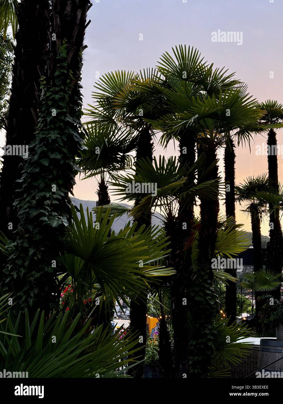 Ascona Switzerland Sunset - Smartphone Captured Stock Image