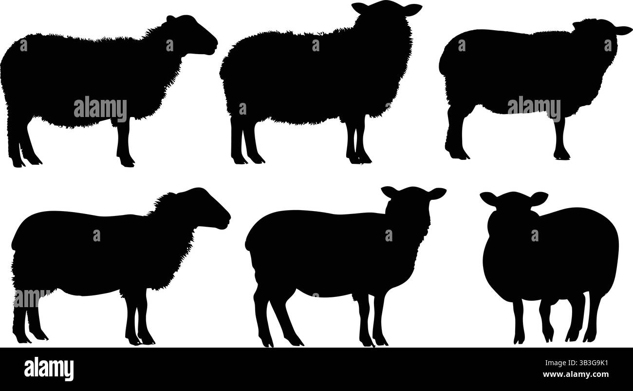 Set of sheep silhouettes in different poses, vector illustration Stock ...