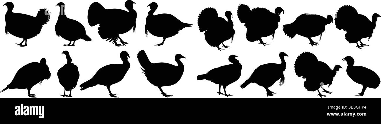 Collection of turkey silhouettes in various poses Stock Vector