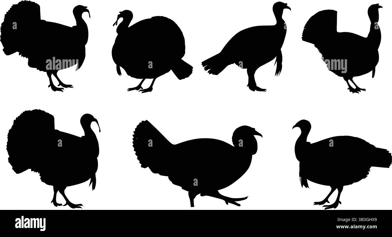 Silhouette of turkeys in different poses Stock Vector