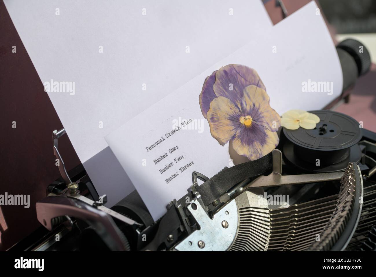 Self reflection personal growth hi-res stock photography and images - Alamy