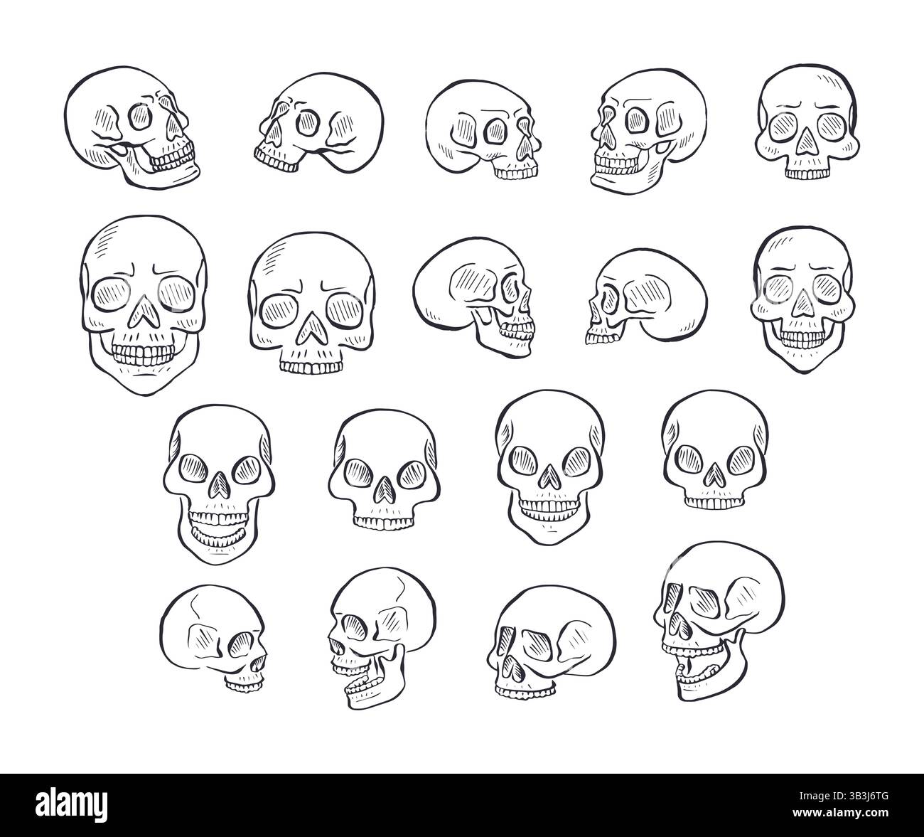 Hand drawn black and white line art human skulls set Stock Vector Image ...
