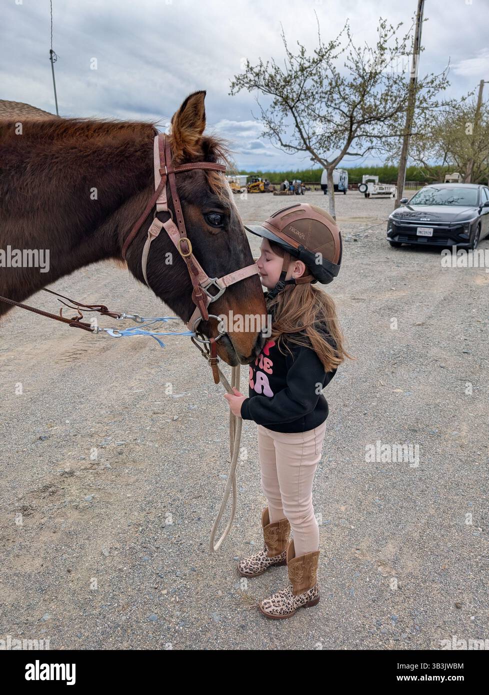 A girl and her horse - Smartphone Captured Stock Image