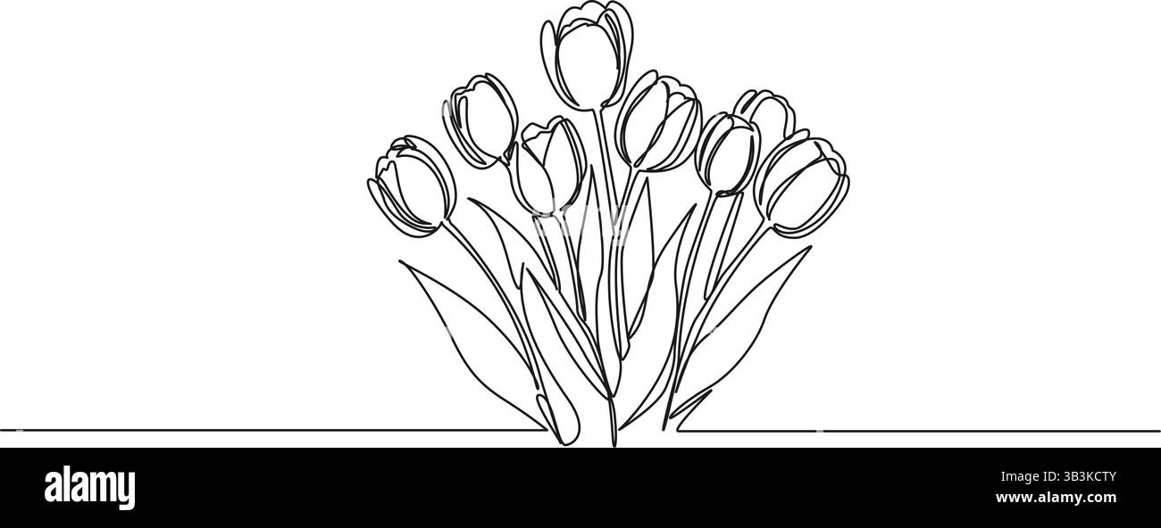 continuous single line drawing of tulips, line art vector illustration ...