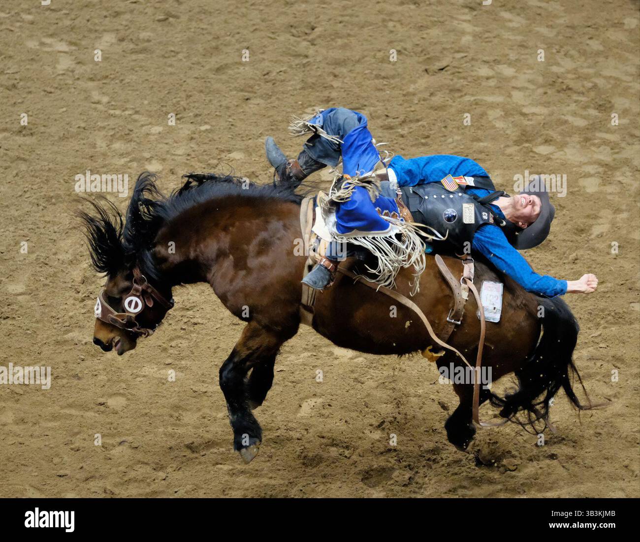 Orin larsen hi-res stock photography and images - Alamy