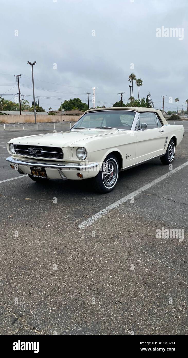 Timeless muscle — the classic Ford Mustang, where vintage style meets raw American power - Smartphone Captured Stock Image