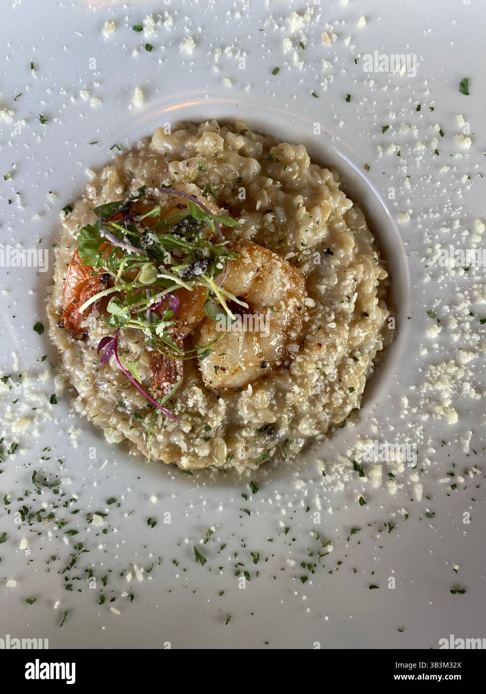Creamy, savory, and perfectly plated — shrimp risotto that captures gourmet comfort in every bite. - Smartphone Captured Stock Image