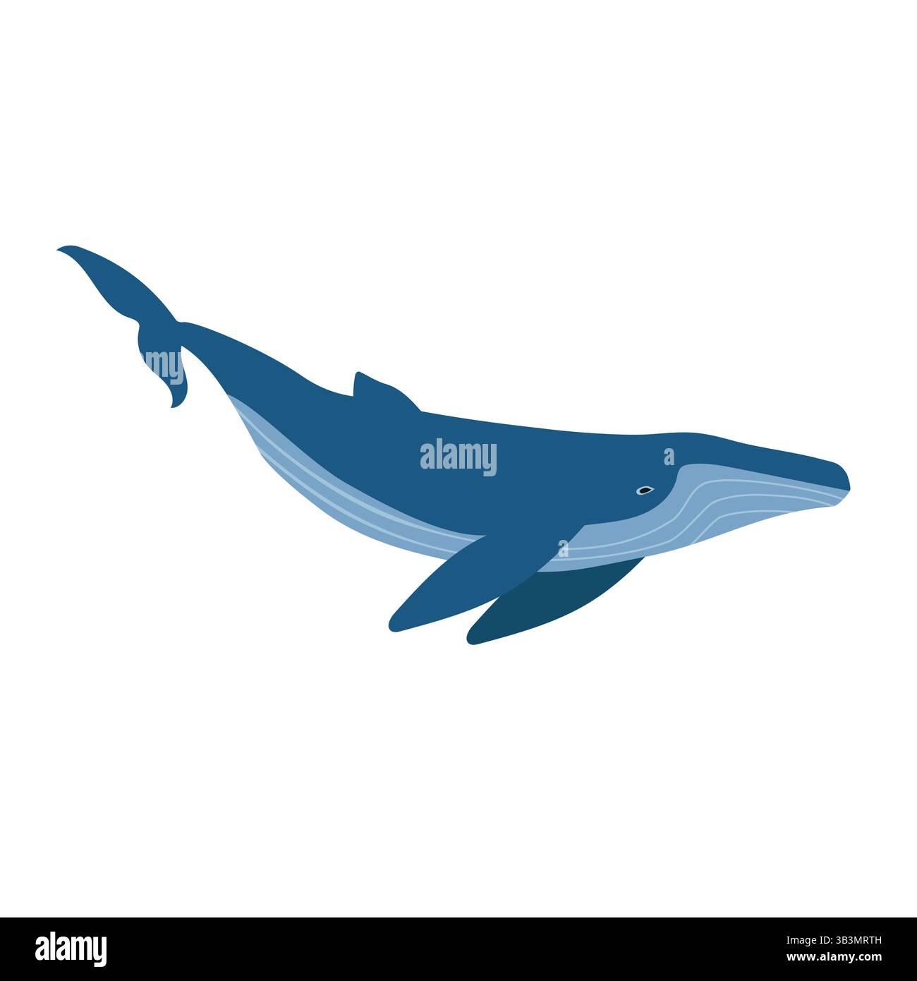 Vector flat hand drawn humpback whale Stock Vector Image & Art - Alamy