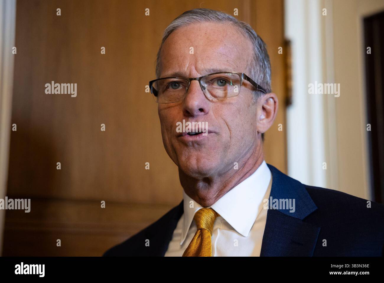 Senate Majority Leader John Thune (R-S.D.) speaks with reporters as he ...