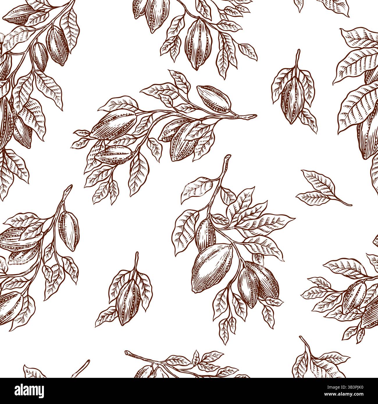 Seamless pattern with Cocoa Beans on a branch for Chocolate Hand Drawn ...