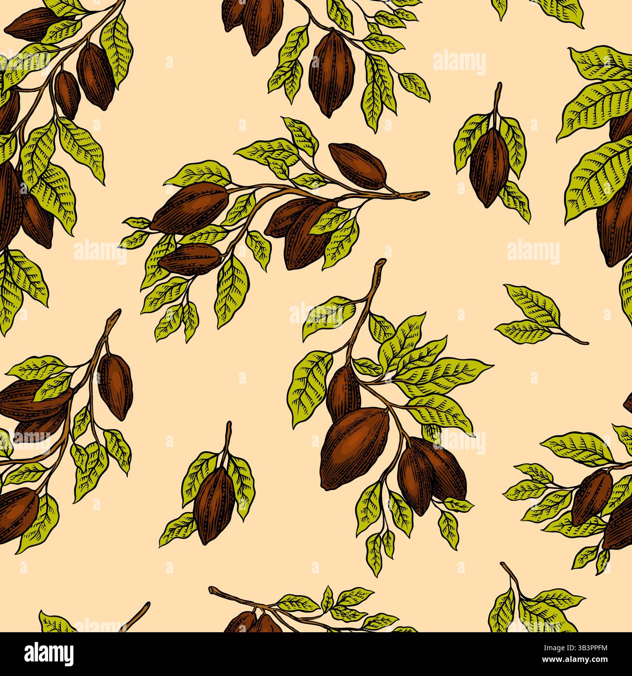 Seamless pattern with Cocoa Beans on a branch for Chocolate Hand Drawn ...